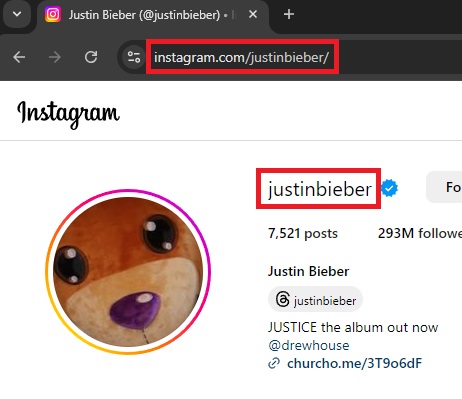 How to use Instagram Story Viewer?