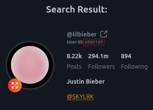How to find Instagram user ID?